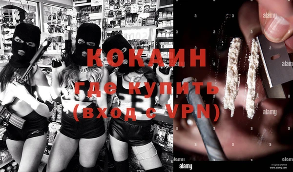 шишки Богородицк