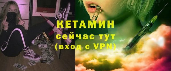 молекула духа Богданович