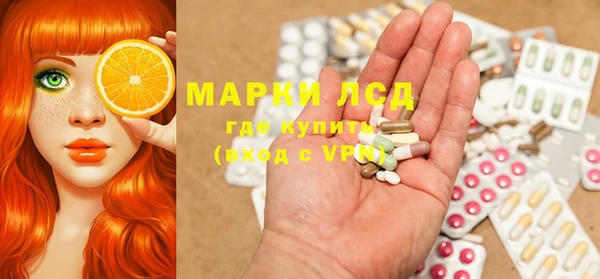 молекула духа Богданович