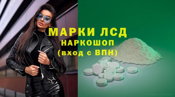 молекула духа Богданович