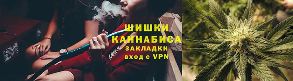 молекула духа Богданович