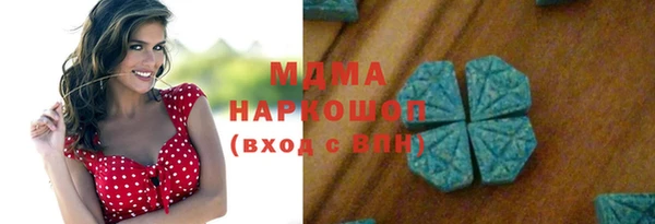 молекула духа Богданович
