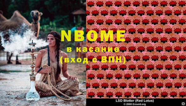шишки Богородицк