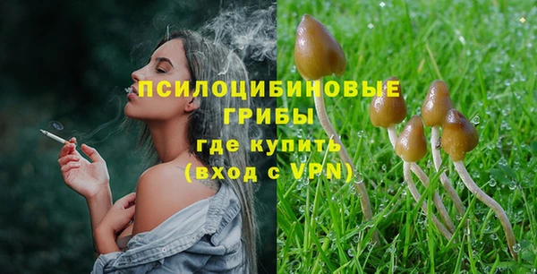 шишки Богородицк