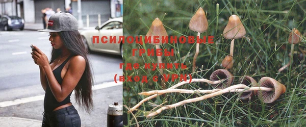 apvp Богородск