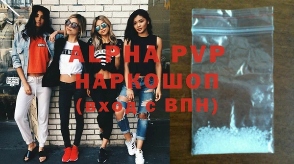 шишки Богородицк