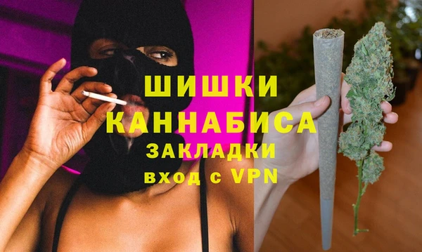 шишки Богородицк