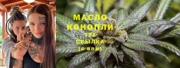 шишки Богородицк