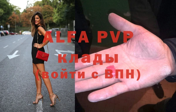 молекула духа Богданович