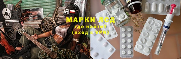 молекула духа Богданович