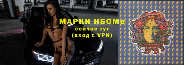 apvp Богородск