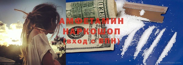 шишки Богородицк