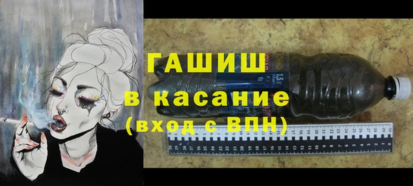 молекула духа Богданович