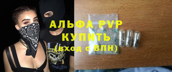 шишки Богородицк