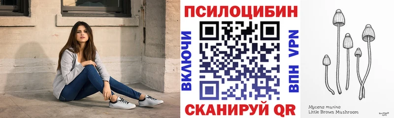 где можно купить наркотик  Игра  MEGA ссылки  Псилоцибиновые грибы Cubensis 